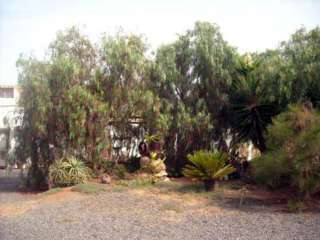 Country house Rural Era De La Corte - Adults Only Antigua (Fuerteventura)
